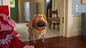 La cita de Carl — foto 8