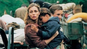Les égarés — foto 5