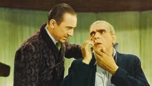 El cuervo — foto 5