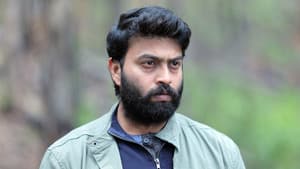 பெண்குயின் — foto 8
