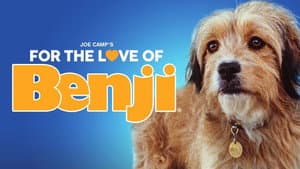 For the Love of Benji — foto 2