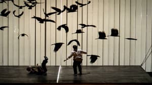 The Metropolitan Opera: Die Zauberflöte — foto 2