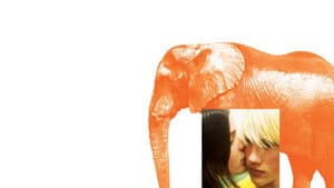 Elefante — foto 3