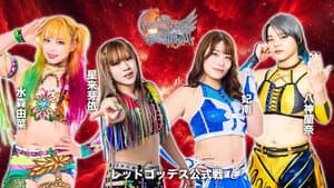 第15回 ゴッデス・オブ・スターダム ～タッグリーグ戦～ in SAPPORO Day2 — foto 3