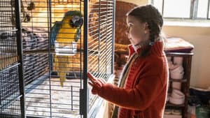 Kommt ein Vogel geflogen — foto 2