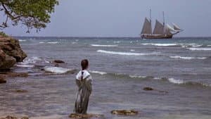Wide Sargasso Sea — foto 8