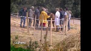 Episodio 26