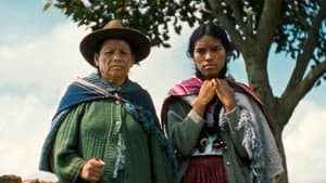 La hija cóndor — foto 4
