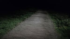 Night Land — foto 1