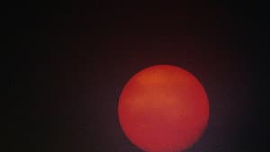 I HAVE NOT BEEN AFRAID OF GOING BLIND FOR A LONG TIME — foto 3