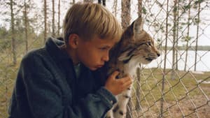 Poika ja ilves — foto 1