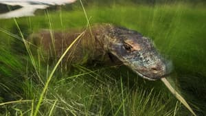 Dragons Alive — foto 1