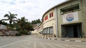Afetos de betão – Zopo Lady — foto 4