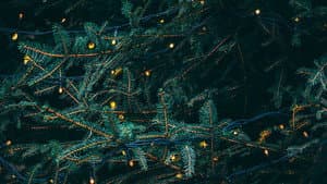 Christmas Lights — foto 1