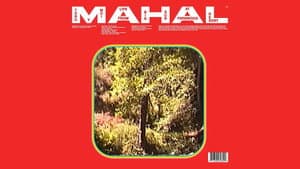 Toro y Moi: MAHAL (Live from Big Sur) — foto 2