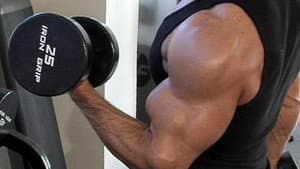 Legendary Bodies 2 — foto 2