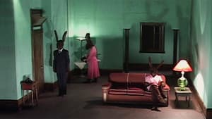Rabbits — foto 1