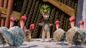 El gallo de la selva
