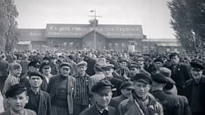 Les survivants, l'impossible départ après la Shoah — foto 1