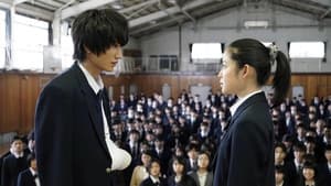 腐女子、うっかりゲイに告る — foto 3