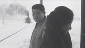 六條ゆきやま紬 — foto 1