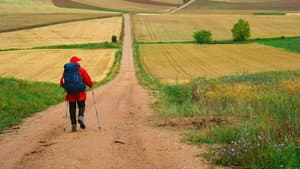 The Way, My Way — foto 2