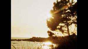 Matter of Clarity — foto 3