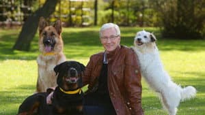 For the Love of Dogs — foto 2