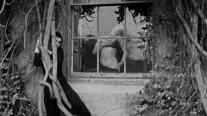 Lilford Hall — foto 4