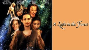 A Light in the Forest — foto 6