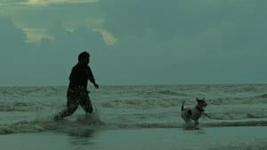রাত জাগা ফুল — foto 1