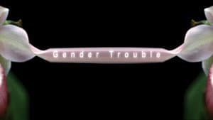 Gender Trouble — foto 1