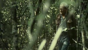 Le siècle de Lévi-Strauss — foto 1