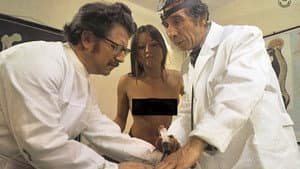 Gestatten, Vögelein im Dienst — foto 1