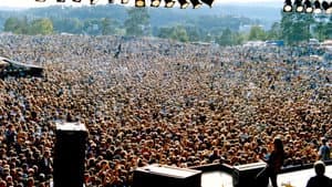 Kalvøyafestivalen - 50 år siden første riff — foto 1