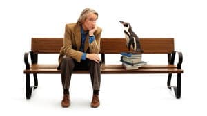 Lecciones de un pingüino — foto 2