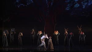 Die Zauberflöte — foto 6