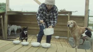 わさお — foto 2