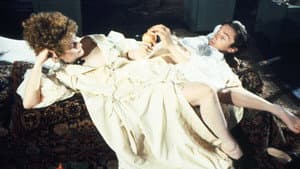 The Draughtsman's Contract — foto 1