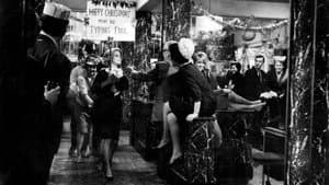 The Wild Affair — foto 6
