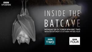 Inside the Bat Cave — foto 1