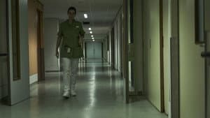 Nightingale — foto 2