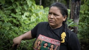 Guardians of the Rainforest — foto 1