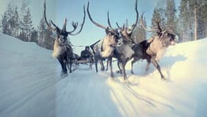 Cinerama's Russian Adventure — foto 1