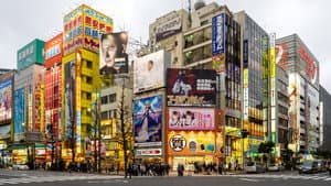 Akihabara Geeks — foto 1