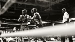 They Fight — foto 1