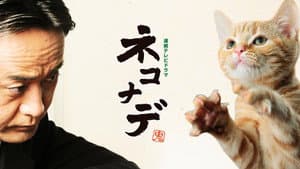 ネコナデ — foto 2