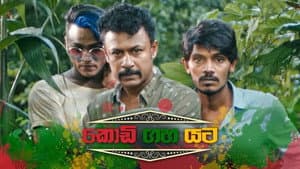 කොඩි ගහ යට — foto 2