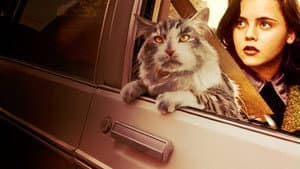 Un gato del F.B.I. — foto 2