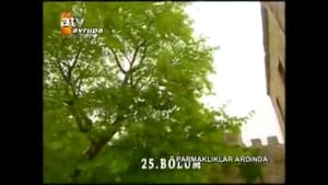 Episodio 25